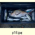 P18.jpg[1600�~1200]