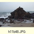 h11b48.JPG[1600�~1200]