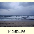 h12b50.JPG[1600�~1200]