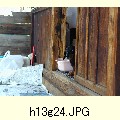 h13g24.JPG[1600�~1200]