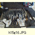 h15g16.JPG[1600�~1200]