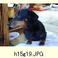 h15g19.JPG[1600�~1200]