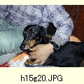 h15g20.JPG[1600�~1200]