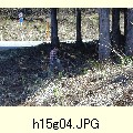 h15g04.JPG[1600�~1200]